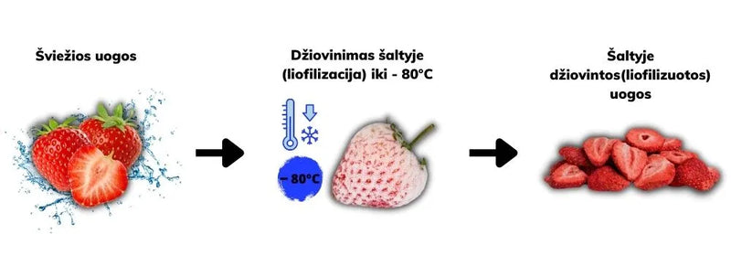 šaltyje džiovinimo technologija paaiškinimas